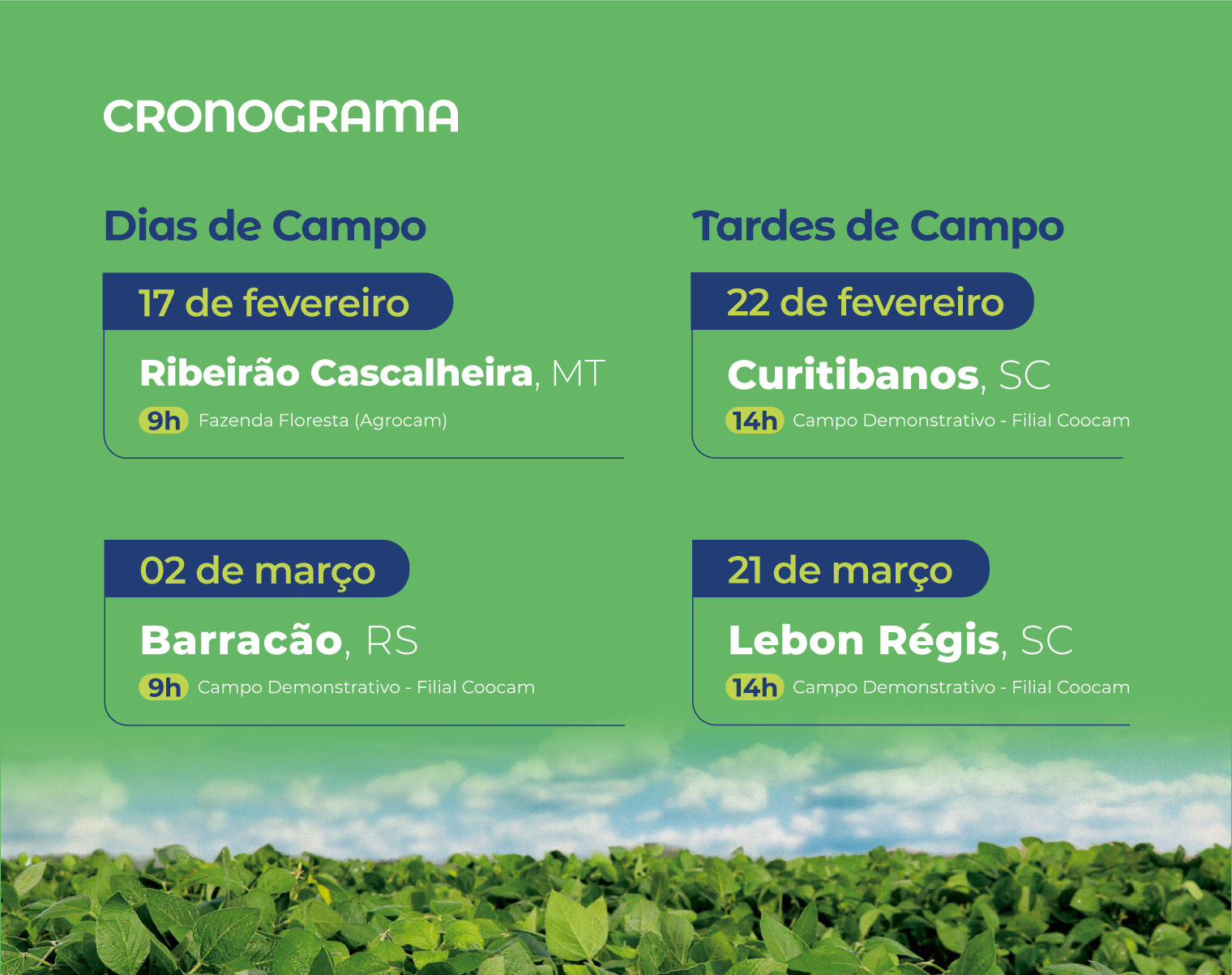 Dias e Tardes de Campo 2024 apresentam novidades do agro