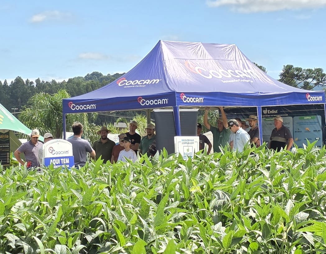 Dias de Campo 2026 reforçam tecnologia e manejo no campo Dias de Campo 2026 reforçam tecnologia e manejo no campo