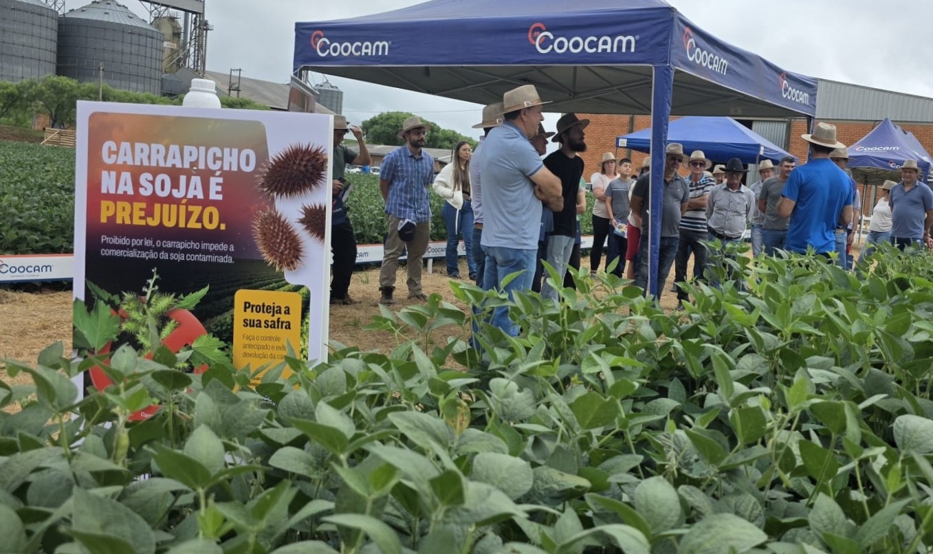 Dia de Campo da Coocam reúne produtores em Curitibanos