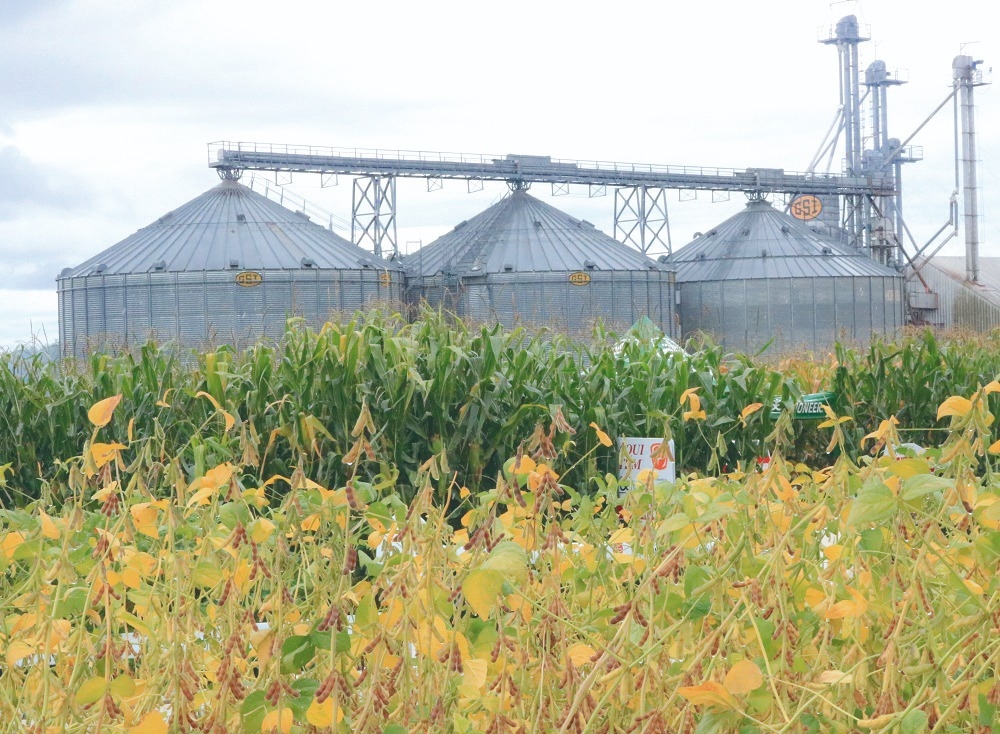 Coocam orienta sobre cancelamento e devolução de notas fiscais no novo modelo tributário