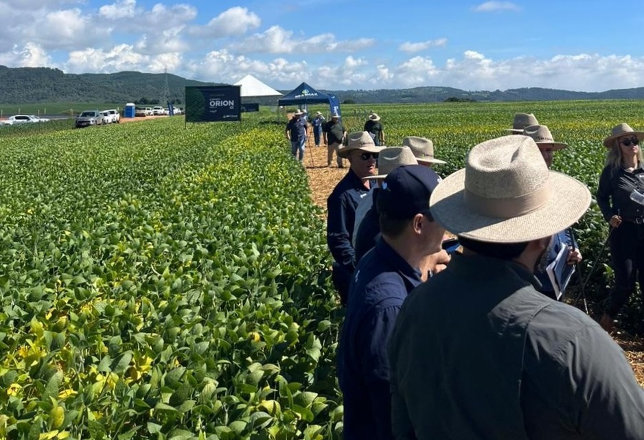 Coocam impulsiona atuação no Paraná ao lado da Brasmax Coocam impulsiona atuação no Paraná ao lado da Brasmax