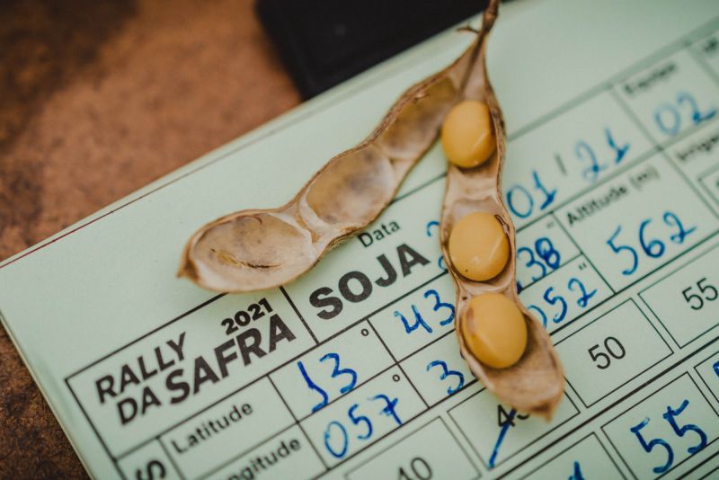 Conforme Rally da Safra 2021, divulgado nesta semana, média de produtividade de soja aumentou em SC