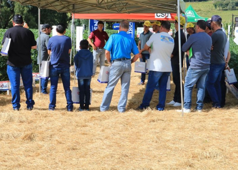 Produtores da região de Curitibanos participam do Dia de Campo Coocam