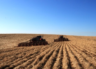 Campos Novos lidera ranking estadual em área de soja