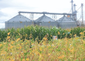 Coocam orienta sobre cancelamento e devolução de notas fiscais no novo modelo tributário