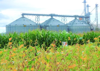 Dias de Campo 2026 reforçam tecnologia e manejo no campo