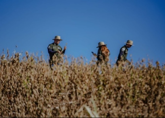 Rally da Safra 2026 projeta safra recorde de soja no Brasil